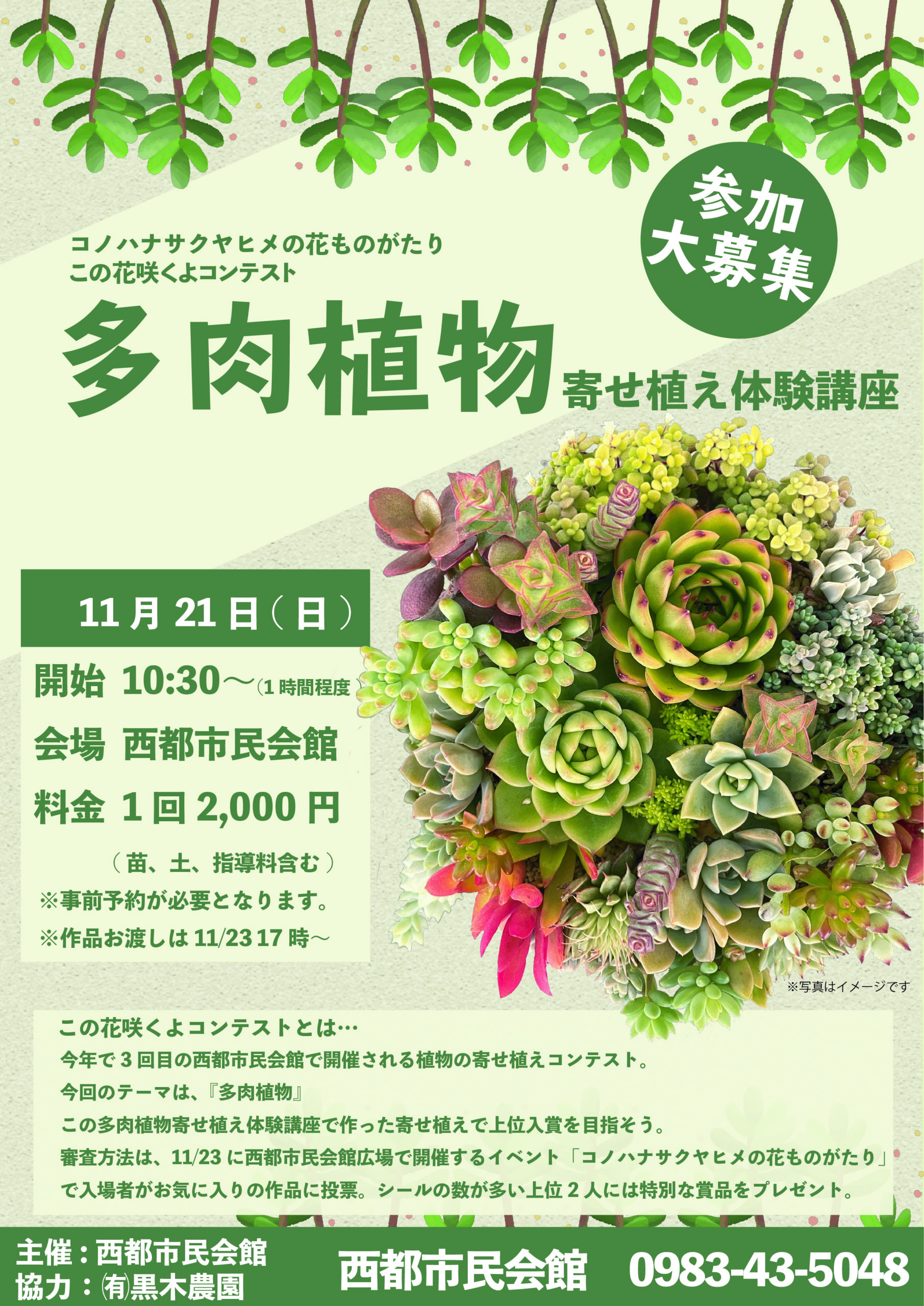 コノハナサクヤヒメの花ものがたり～この花咲くよコンテスト～の画像